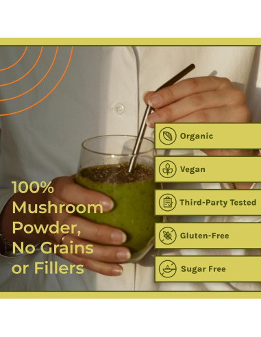 Suplemento de Hongo Reishi Naturealm - 90 Cápsulas Veganas