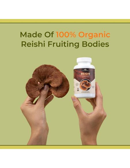Suplemento de Hongo Reishi Naturealm - 90 Cápsulas Veganas