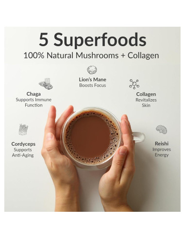 Bebida de Chocolate BIOptimizers con Hongos Adaptogénicos 15 Porciones