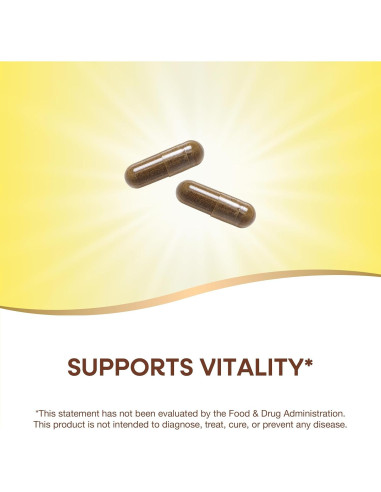 Suplemento Herbal Gotu Kola Nature's Way 180 Cápsulas 950 mg