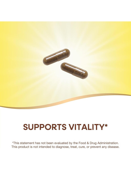 Suplemento Herbal Gotu Kola Nature's Way 180 Cápsulas 950 mg