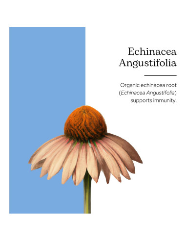 Echinacea Angustifolia Cruda Liofilizada Eclectic 90 Cápsulas