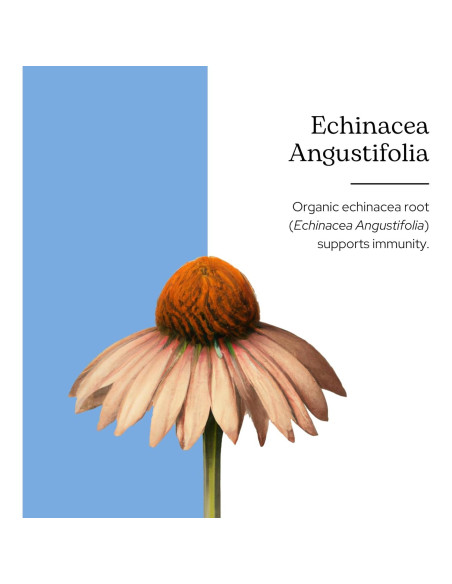 Echinacea Angustifolia Cruda Liofilizada Eclectic 90 Cápsulas