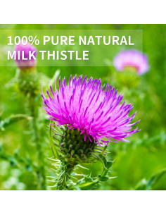 Té Herbal de Cardo Lechero Tempoak - 60 Bolsitas 181 g 2