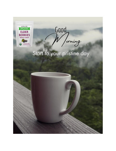 Baya de Saúco Orgánica Secas Pristine Nutri 907 g - Antioxidantes