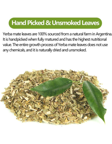 100 Bolsas de Té de Yerba Mate YILINSHA 100% Natural Sin Humo