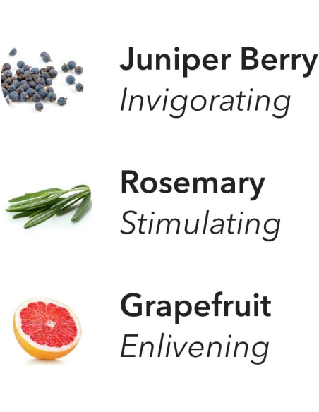 Recarga Aera Revive Aromaterapia - Baya de Enebro y Romero