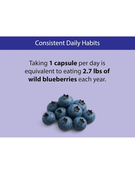 Cápsulas de Arándano Silvestre Orgánico KOYAH - 60 Unidades