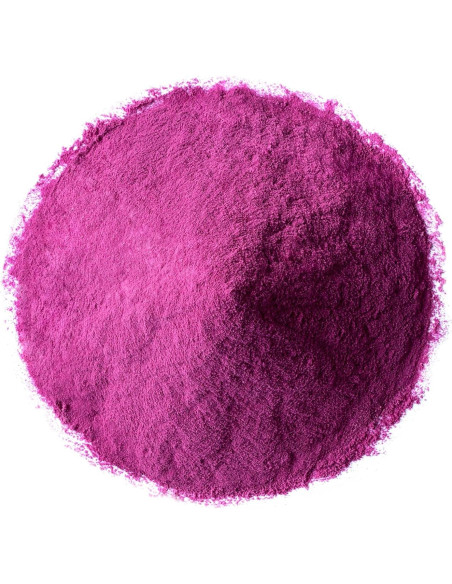 Polvo de Grosella Negra Food to Live 0.45 kg - Superalimento Vegano