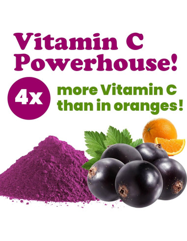 Polvo de Grosella Negra Food to Live 0.45 kg - Superalimento Vegano