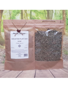 Té de Hoja de Plátano Mayor Health Embassy 50g - Natural y Libre de OGM 2