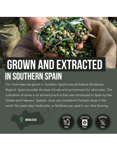 Total Olive Extracto de Hoja y Fruto de Olivo 60 Cápsulas