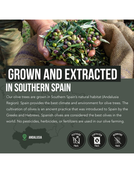 Total Olive Extracto de Hoja y Fruto de Olivo 60 Cápsulas