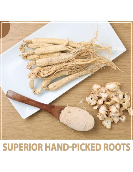 Polvo de Ginseng Americano AKI 42.5g - 4% Ginsenósidos