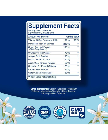 Píldoras Diuréticas Herbales Phytoral 60 Unidades - Alivio Hinchazón