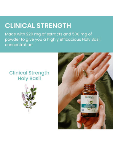 Suplemento Herbal Albahaca Sagrada Himalaya Tulsi 720 mg 60 Cápsulas