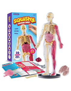 Dan&Darci Cuerpo Humano Squishy - Juguete Educativo 4-8 Años