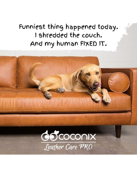 Kit Profesional de Reparación de Cuero Coconix - Negro Kit Profesional de Reparación de Cuero Coconix - Negro