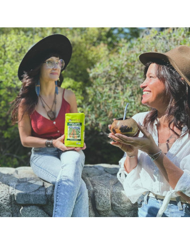 Té de Yerba Mate Orgánico ECOTEAS 0.45 kg - Energía Natural