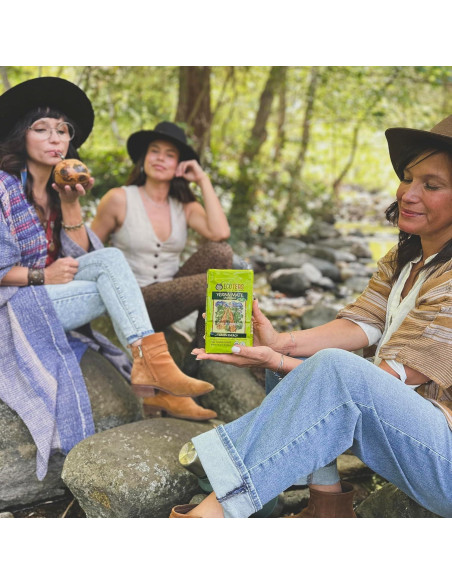 Té de Yerba Mate Orgánico ECOTEAS 0.45 kg - Energía Natural