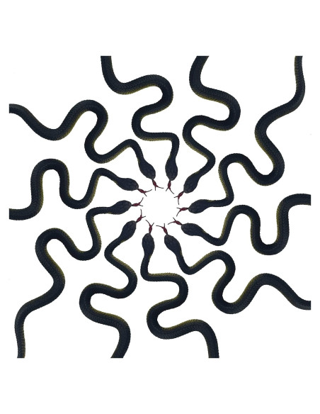 Juguete de Serpiente Falsa HOHAJIU 10 PCS Realista 24-45 cm