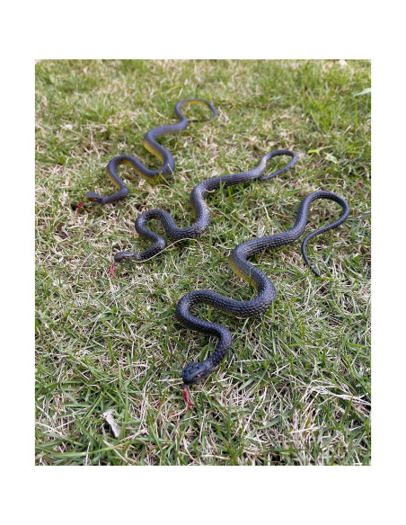 Juguete de Serpiente Falsa HOHAJIU 10 PCS Realista 24-45 cm