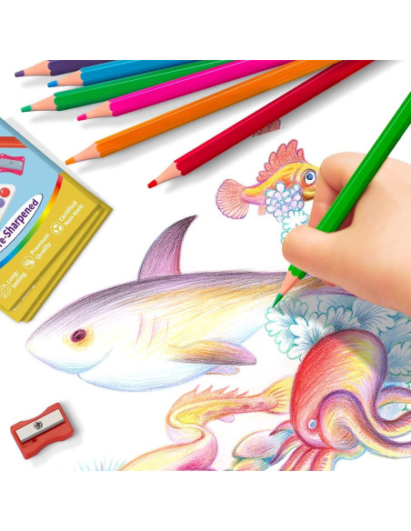 144 Lápices de Colores A Granel Aigybobo - 12 Colores Vibrantes