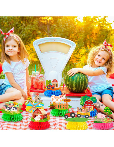 Centros de Mesa de Panal de Granja 9 Pcs Decoración Fiesta