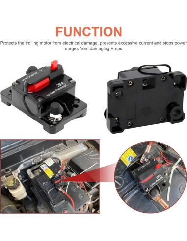 Interruptor de Circuito 60A Erayco Impermeable 12V-48V CC
