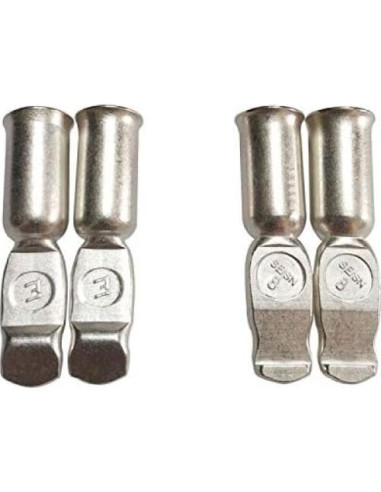 Cargador de Batería Din 50A Sunshine con Terminales de Cobre