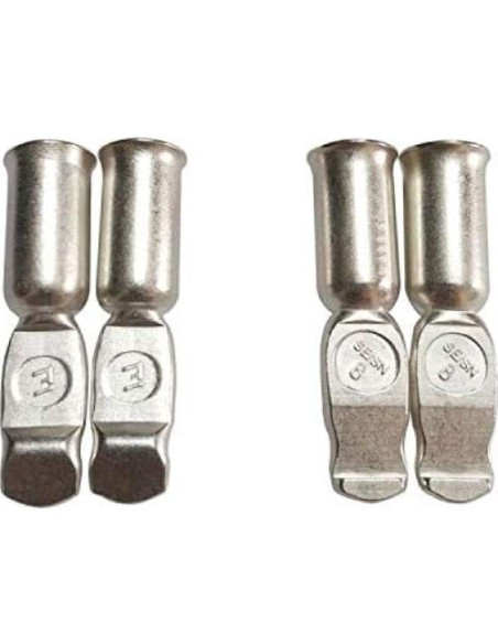 Cargador de Batería Din 50A Sunshine con Terminales de Cobre