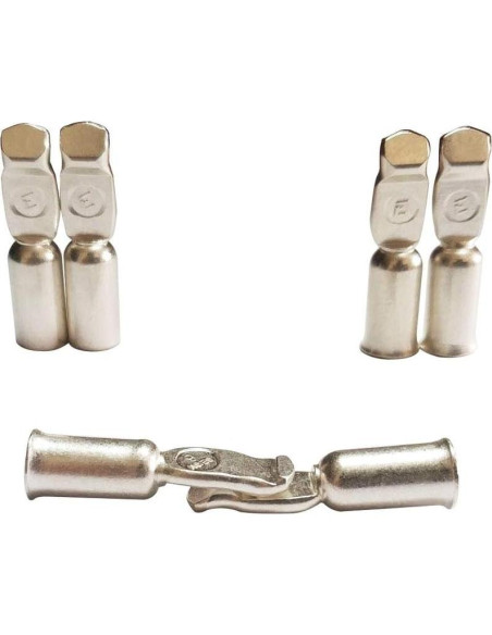 Cargador de Batería Din 50A Sunshine con Terminales de Cobre