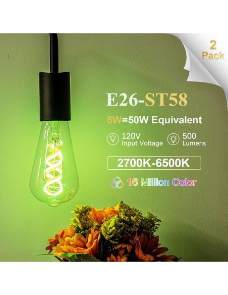 Bombillas Edison Inteligentes DiCUNO ST58, 5W, 500lm, 2 Unidades