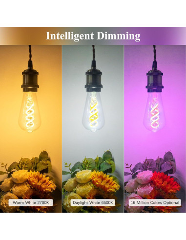 Bombillas Edison Inteligentes DiCUNO ST58, 5W, 500lm, 2 Unidades