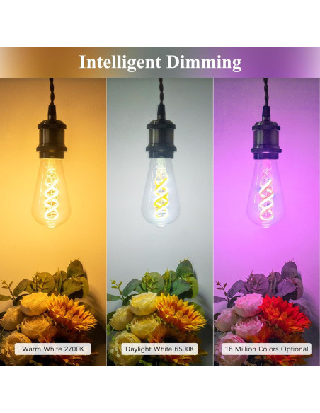 Bombillas Edison Inteligentes DiCUNO ST58, 5W, 500lm, 2 Unidades