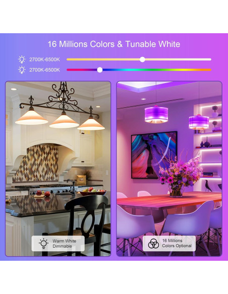 Bombillas LED Inteligentes FRIDEKO HOME RGBTW E26 800LM 2P