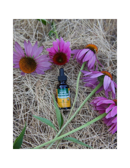 Extracto Líquido Echinacea Super Orgánica Herb Pharm 30 ml