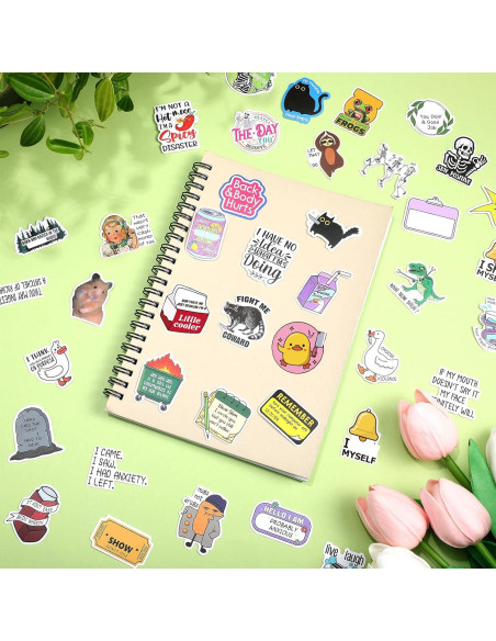 400 Pegatinas Divertidas Chivertion Impermeables para Adultos