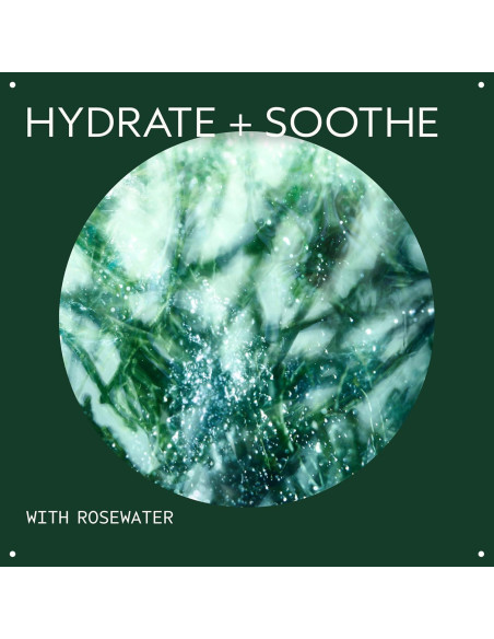 Mascarilla Hidratante Intensa Aveda 124 ml para Piel Seca