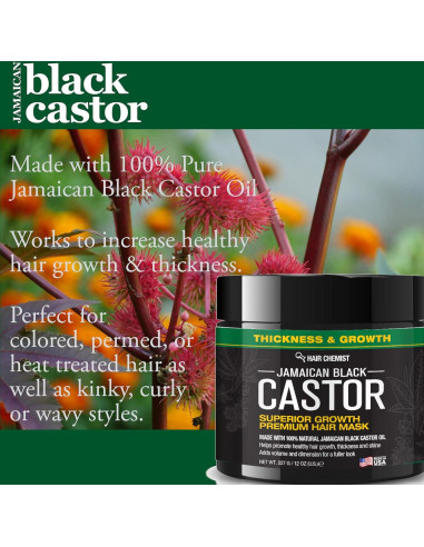 Mascarilla Capilar Químico Superior Aceite Ricino Negro 340g