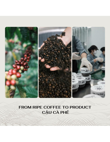 Exfoliante Corporal de Café Dak Lak 260 ml - Hidratante Natural