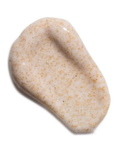 Exfoliante Facial Orgánico Elina 56g - Con Nueces y Aloe Vera