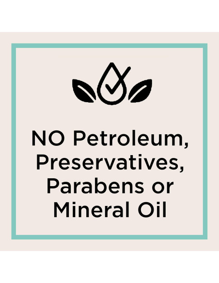 Bálsamo Labial Carmex Comfort Care Menta 2 Unidades 4.25 g Bálsamo Labial Carmex Comfort Care Menta 2 Unidades 4.25 g