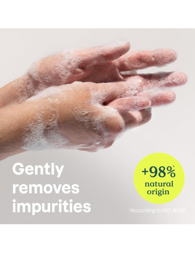 Jabón Líquido para Manos ATTITUDE 473 ml Naranja y Canela