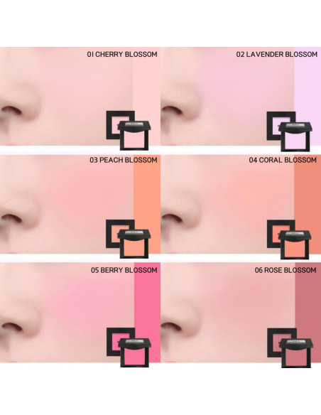 Rubor BBIA Last Blush 11 Color 2.5g - Alto Pigmento Mate 01 Flor de Cerezo