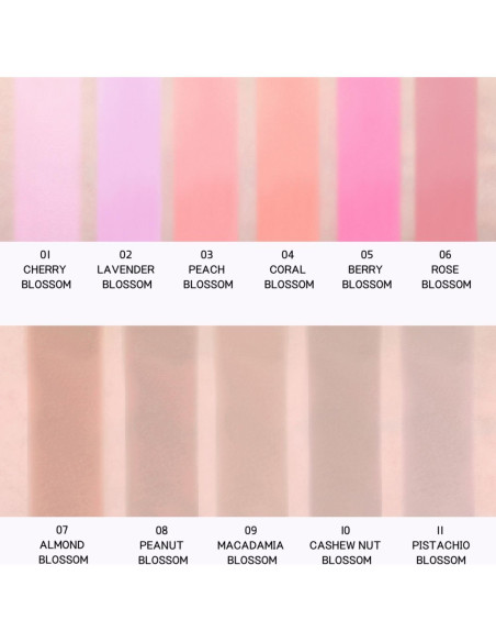 Rubor BBIA Last Blush 11 Color 2.5g - Alto Pigmento Mate 01 Flor de Cerezo