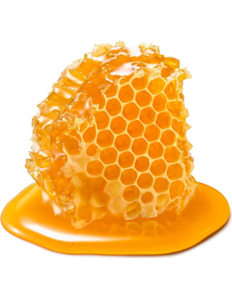 Conjunto Mini Gel Crema Diurna y Nocturna Earth To Skin 30 ml