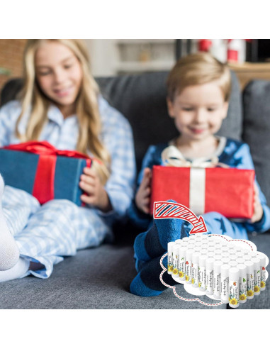 50 Balsamos Labiales Hidratantes Siifert - 5 Sabores