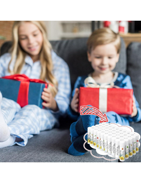 50 Balsamos Labiales Hidratantes Siifert - 5 Sabores