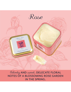 Manteca de Karité Pura Mother's Shea 170 g - Set de 3 Latas 2